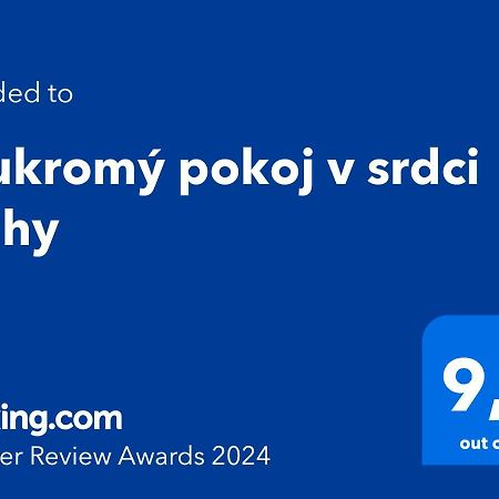 Soukromy Pokoj V Srdci Prahy Appartement Praag Buitenkant foto